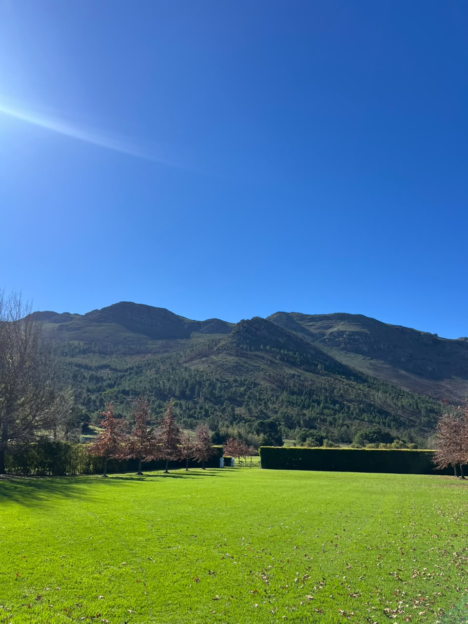 Trees and mountain views across the lawns at La Paris Estate